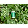 Buy cheap Single Wall Biodegradable Compostable Paper Cups Green Drinking Cup 4oz - 22oz from wholesalers