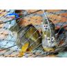 Buy cheap Recyclable Stainless Steel Woven Wire Mesh 30x30mm For Bird Cages 7x19 from wholesalers
