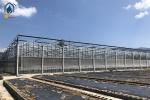 Hot Galvanized Steel Pipe Tempered Glass Greenhouse 8m 9.6m 12m Span Width