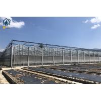 Buy cheap Hot Galvanized Steel Pipe Tempered Glass Greenhouse 8m 9.6m 12m Span Width product