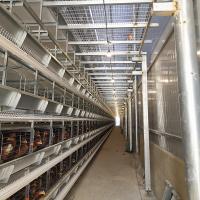 Buy cheap 144 Birds H Type Chicken Cage , Q235A HDG Chicken Laying Eggs Cage product