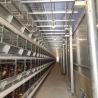 Buy cheap 144 Birds H Type Chicken Cage , Q235A HDG Chicken Laying Eggs Cage from wholesalers