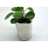 Buy cheap Durable Non Woven Garden Weed Control Fabric for Plant Protection / Agriculture Covering from wholesalers
