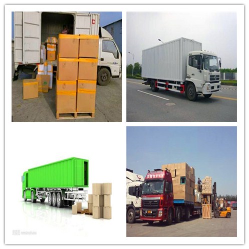 Industrial Gas Storage 4L 8L 10L 15L 20L CO2 Gas Cylinder with Height 250-2000mm