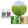 Buy cheap OEM Maize Crop Pesticides insecticide Emamectin Benzoate & Bt & Chlorfenapyr SC from wholesalers