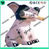 Buy cheap Inflatable Dog Cartoon,Inflatable Dog Animal, Customized Inflatable Dog from wholesalers