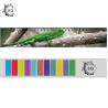 Buy cheap High Definition Motion 3D Lenticular Ruler Animal Design For Students from wholesalers
