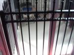 Customized Black Zinc Steel Metal Garrison Fence Panels Maintenance Free