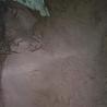 Buy cheap Blood Meal Red Brown Hemoglobin Powder Crude Protein Powder 80% Crude from wholesalers