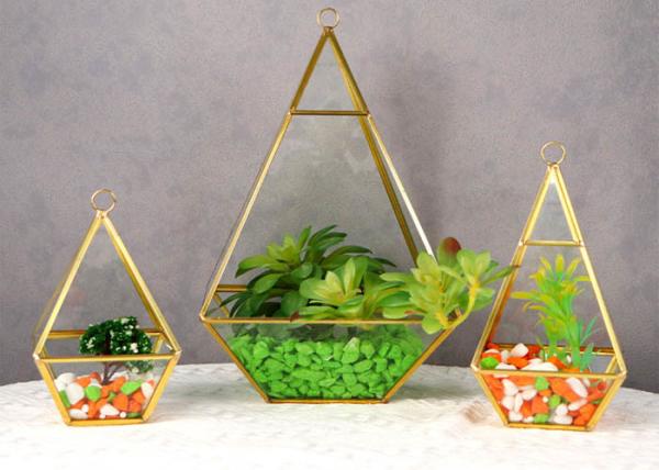 Buy cheap Glass artifact gold diamond succulent flower stone room immortal flower room ins glass storage box wholesale from wholesalers
