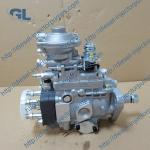 High prssure Diesel common rail injection pump 0460424073 VE4/12F1100R374-2