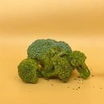 Hot Sale Dried Vegetables Vacuum Natural Dehydrated Broccoli Wholesale Prices