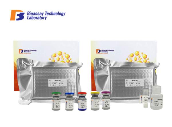 Buy cheap TNFRSF6 Enzyme Immunoassay Kit Human Tumor Necrosis Factor Receptor Superfamily Member 6 from wholesalers