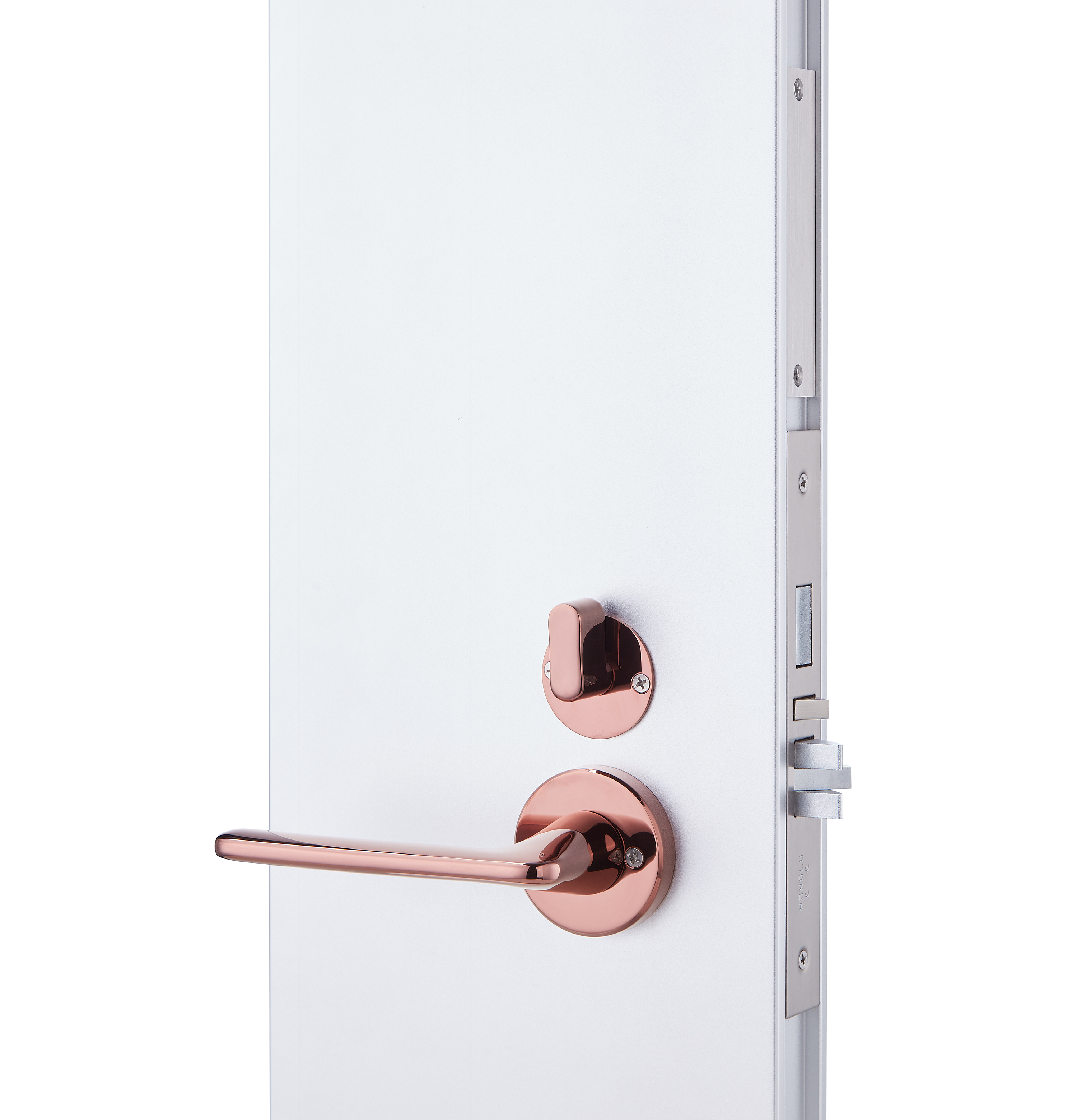 Hotel / Apartment Electronic Keyless Door Lock with Deadbolt App Control