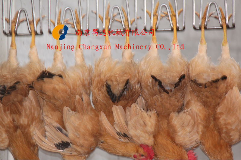 Stainless Steel Chicken Slaughtering Line Machine Solution for Poultry Processing