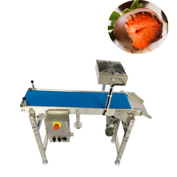 Quality 304 Stainless Steel Snack Enrobing Chocolate Making Machine for sale