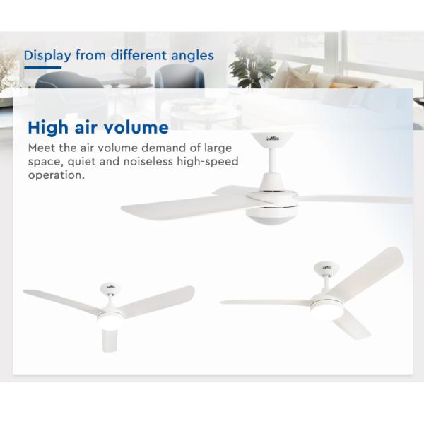 ceiling fan ceiling fan