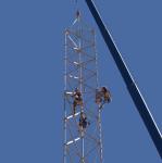 3 Legged 50m Multifunction Tubular Steel Tower
