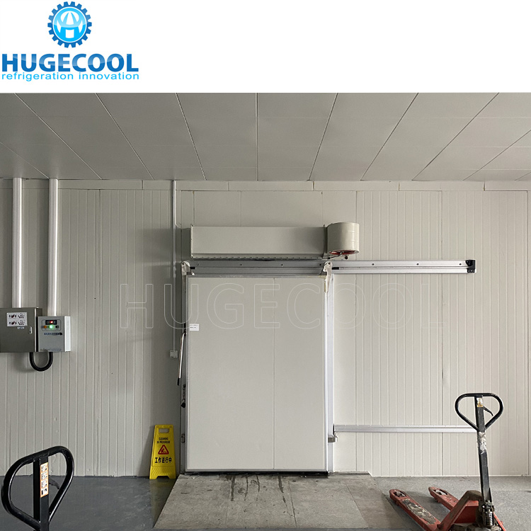 Customized new cold storage for frozen meat and seafood