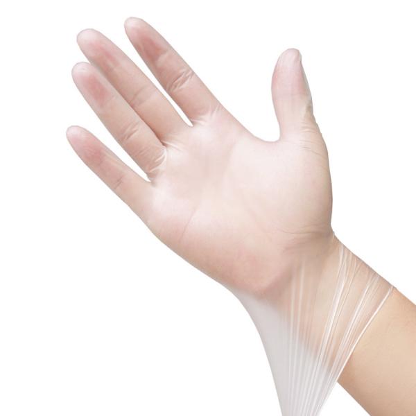 Buy cheap DOP DEHP Free Clear Disposable Gloves Vinyl Powder Free M L S XL from wholesalers