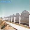 Buy cheap Hot Dip Galvanized Steel Plastic Multispan Greenhouse For Four Seasons Planting from wholesalers