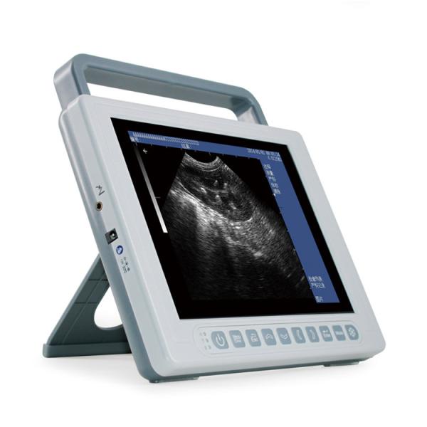 Buy cheap Veterinary Medical Ultrasound Machine 2D B Mode Ultrasound Scanner GHK10 from wholesalers
