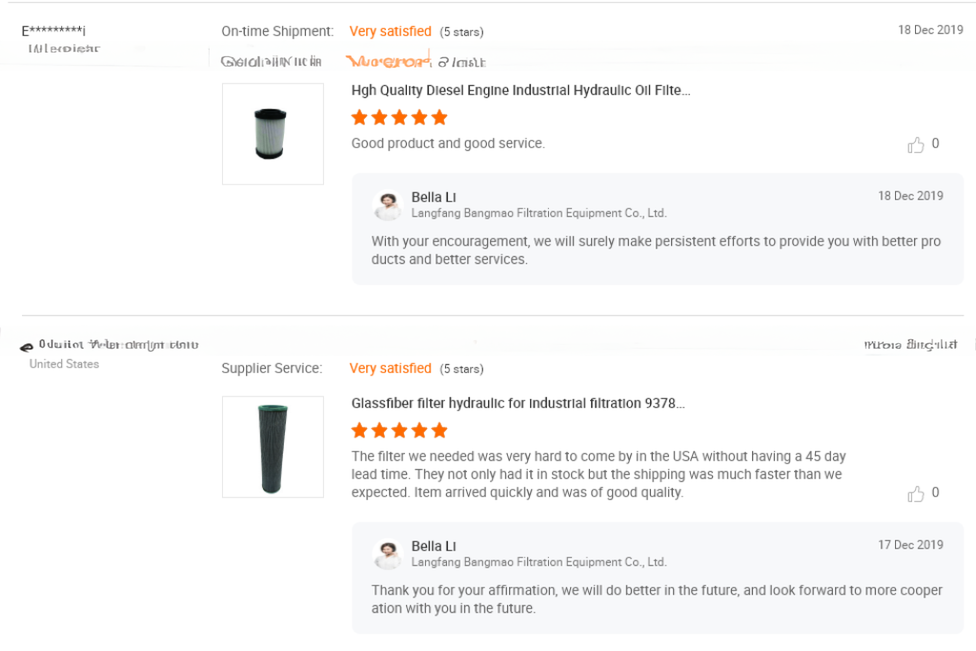 Replace ARGO W3062308/ WG245 Hydraulic Oil Filter Element Video Technical Support