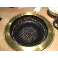 Buy cheap Crimped Outdoor Travel Disposable Bbq Mesh product