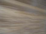 4’ x 8’ Rotary Agathis Veneer Sheet For Furniture, Door
