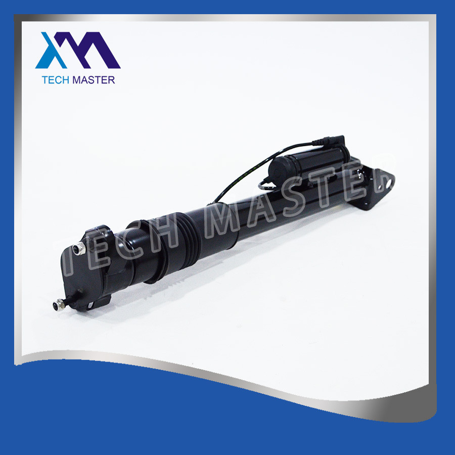 Mercedes Benz Air Suspension Rear Shock Absorber For W251 R-Class A2513201931
