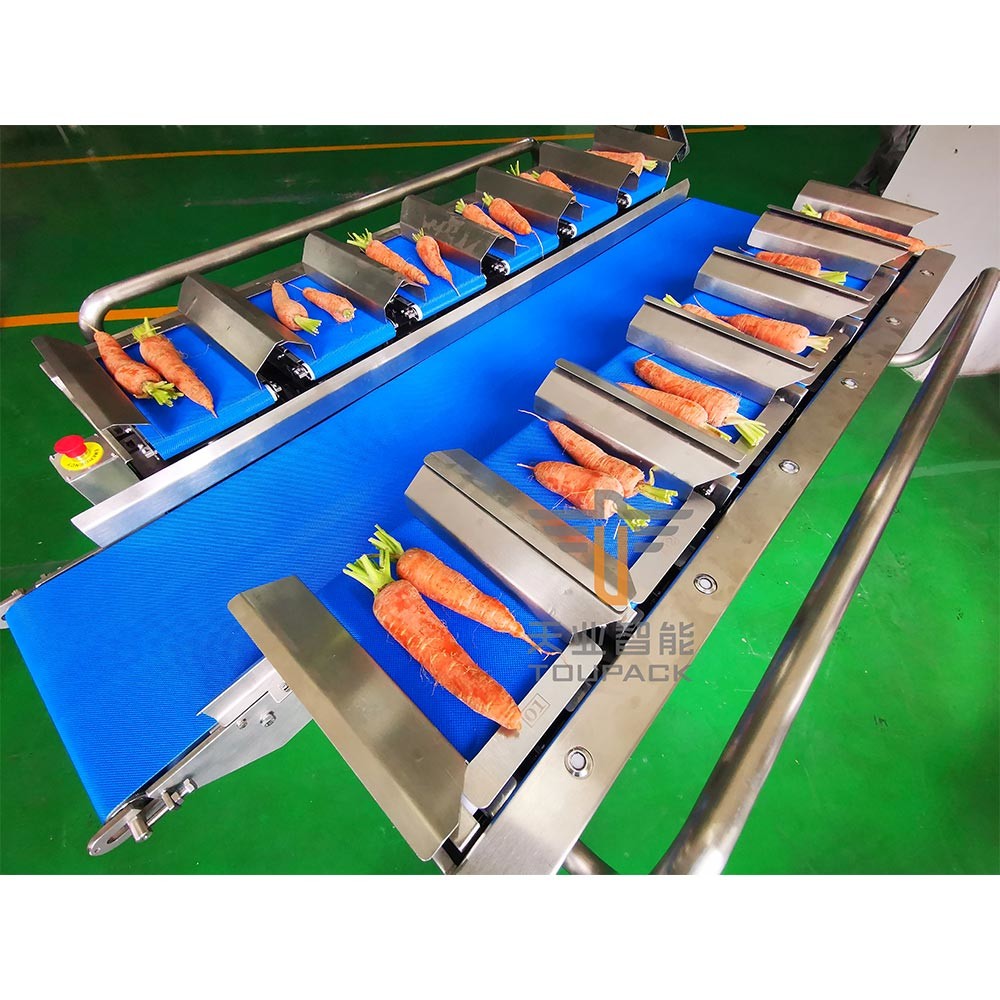 30WPM Vegetables Combination weigh Belt Scale PLC Control High Accuracy Grader