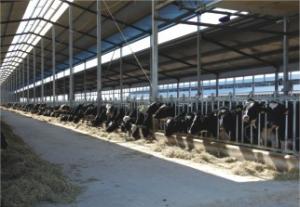 China Small Scale Milk Processing Equipment With Milk Receiving UHT And Filling System on sale