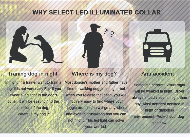 Eco - Friendly Pet Collar For Dog Walking , Fashion Sport Dog Collar