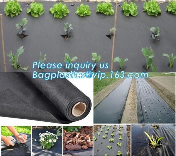 best quality agricultural weed barrie,UV stable Polypropylene woven fabric weed