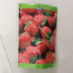 Snacks Mylar Aluminum Foil Bags SGS ziplockk Bag Moisture Proof