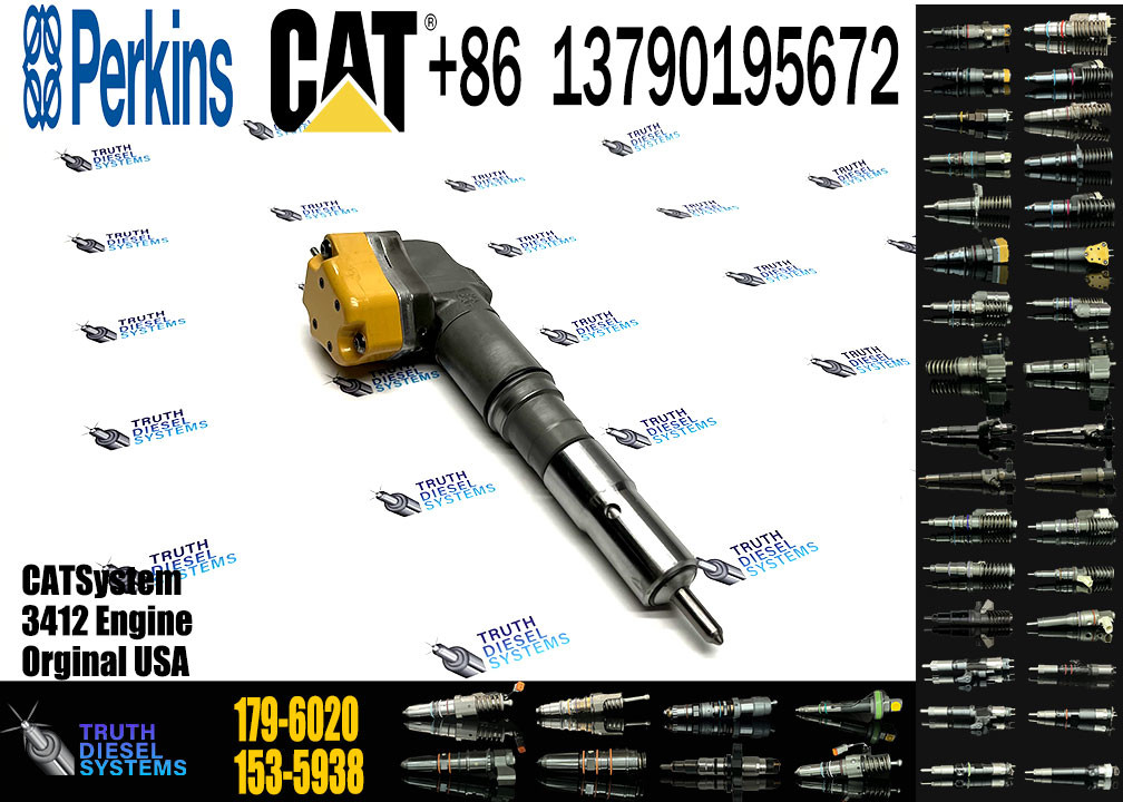 Common rail diesel fuel injector 179-6020 222-5966 173-9268 198-7912 232-1168 156-3895 204-2467 232-1167