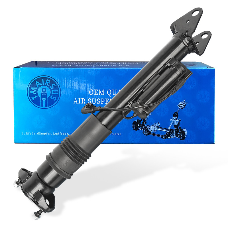 Long-Lasting Car Shock Absorber 2513201931 For Mercedes-Benz W251/R300 Rear Position Steel And Rubber Material