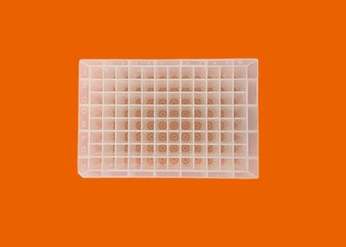 Buy cheap PP 96 Well Deep Well Plate Autoclavable 2.2 Ml Deep Well Plate Cone Bottom from wholesalers