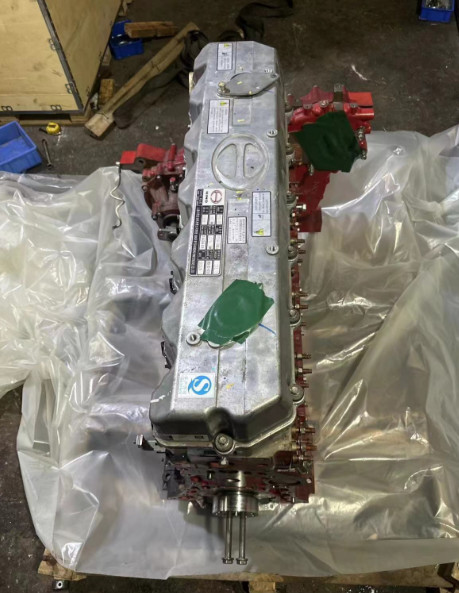 P11C Convex Engine Assembly Equipped With HINO300, HINO500, SK460 E13C Engine Has Anassembly