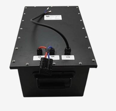 Buy cheap 48 Volt Lithium Ion Battery , Golf Cart Battery Charger For Club Car from wholesalers