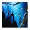 Buy cheap Clear Cast Acrylic Swimming Pool Panel Anti-Uv Plexiglass Sheet for Outdoor Pool Wall from wholesalers