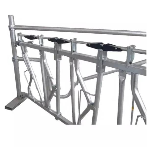 Buy cheap Galvanized Custom Cattle Dairy Headlocks Farming Equipment cattle feeder from wholesalers