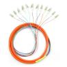 Buy cheap Single Mode Fiber Optic Pigtail 12 Cores 0.9mm 3.0mm SC UPC Connector from wholesalers