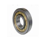 NF ECT Single Row Roller Bearing OEM Customized Electric Motor Bearing