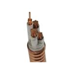 25mm 35mm 50mm 70mm 95mm 120mm 185mm 240mm 300mm 4 core PVC jacketed underground