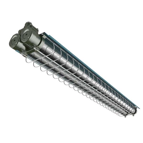 Buy cheap Tube T8 LED Explosion Proof Light 2*16w AC110-240V IP66 from wholesalers