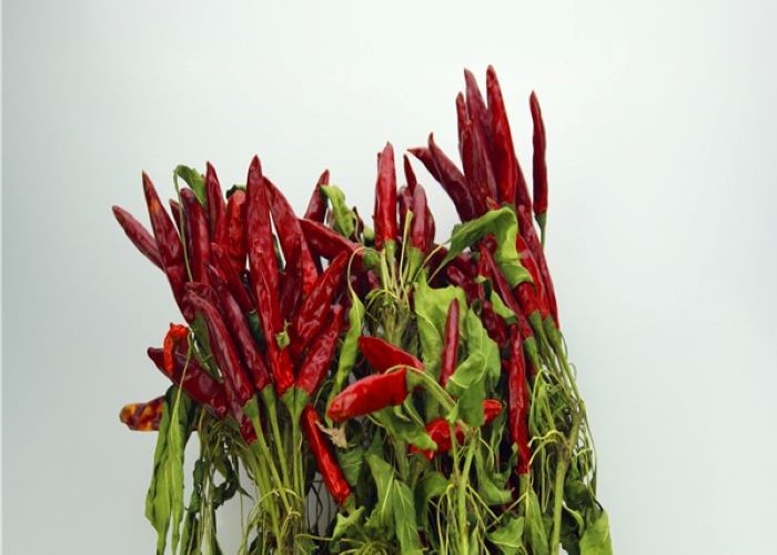 Seedless Whole Dry Chilli Chaotian Sichuan Facing Heaven Chillies