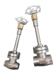 Wholesale PN40 Socket Weld Globe Valve SS304 SS316 Cryogenic Globe Valve from china suppliers