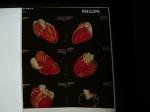 35cm x 43cm Medical Dry Imaging Film , Transparency Chest X-ray Film