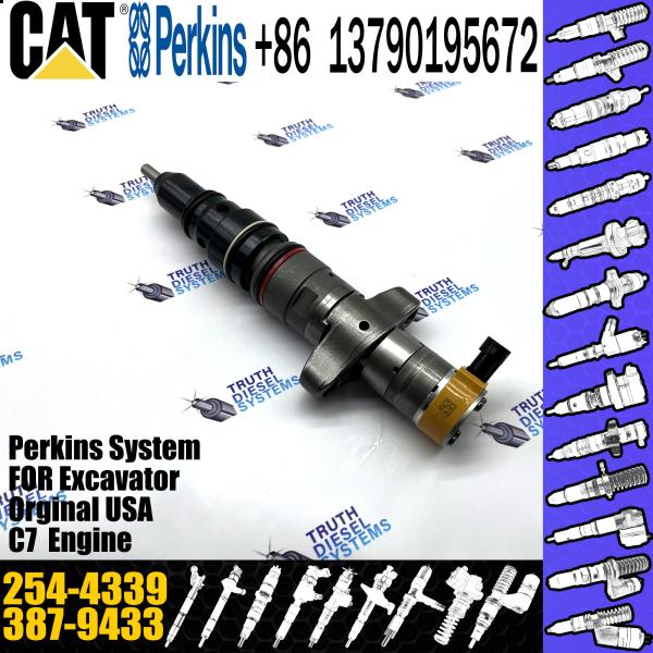 USA genuine C9 Common Rail Injector 254-4339 10R7222 387-9433 382-2574 387-9433